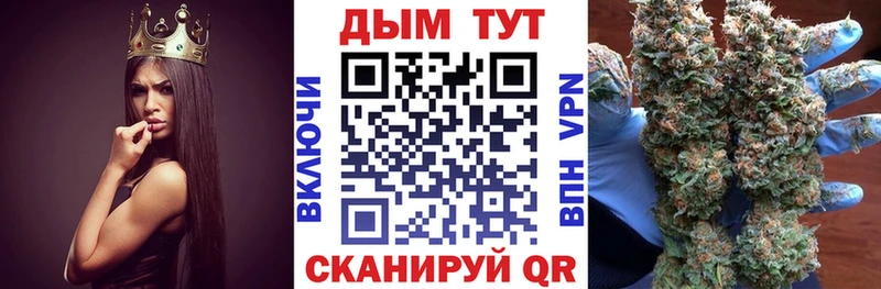 Купить где  Сибай  Конопля семена 